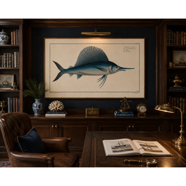 Atlantic Sailfish, Vintage Fish Art Print Reproduction, 30" X 20" For Sale - Image 9 of 10