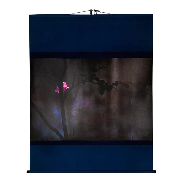 Kensho 2709, 2019-20 For Sale