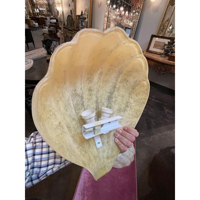 Murano Shell Form Sconces - a Pair For Sale In Dallas - Image 6 of 7