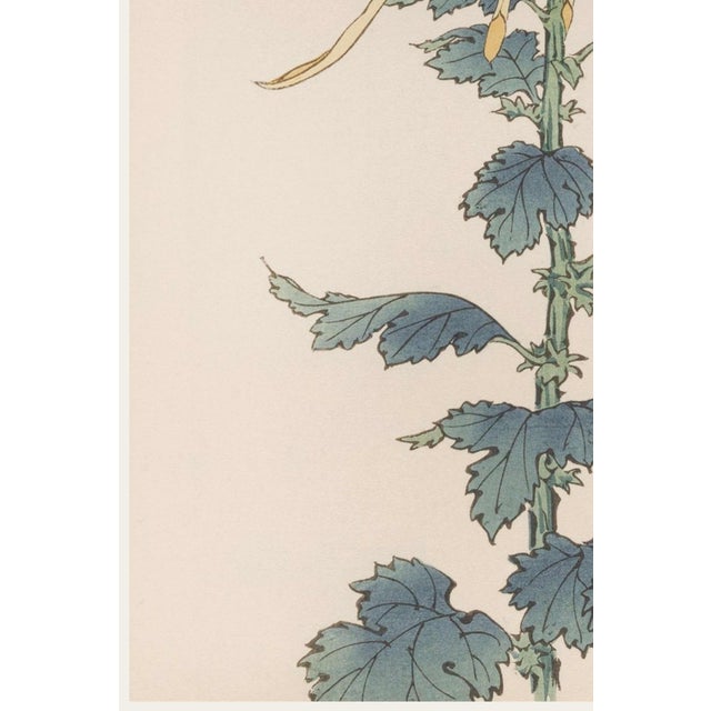 Yellow Mum by Hasegawa, Vintage Japanese Botanical Art Print, 36" X 54" For Sale - Image 4 of 10
