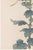 Yellow Mum by Hasegawa, Vintage Japanese Botanical Art Print, 36" X 54" For Sale - Image 4 of 10