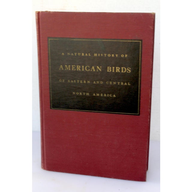 A Flight of 3 Elegant Bird Books – Audubon, Fuentes, Peterson –Oversized Illustrated Ornithology Editions For Sale - Image 10 of 15