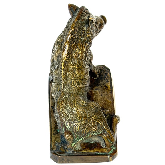 Italian Grand Tour Bronze “Porcellino” Boar After Pietro Tacca, Florence, 19th C For Sale - Image 10 of 10