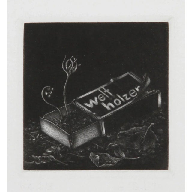 Modern Gerde Ebert, Welfholzer, Mezzotint For Sale - Image 3 of 3