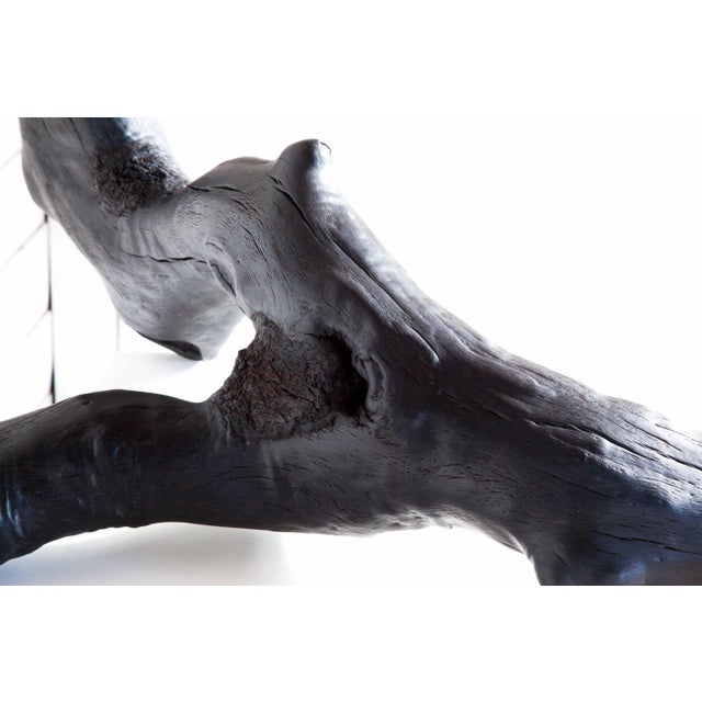 Wood Surface Tension Wabi Sabi Black Oak Shou Sugi Ban Sculpture For Sale - Image 7 of 9