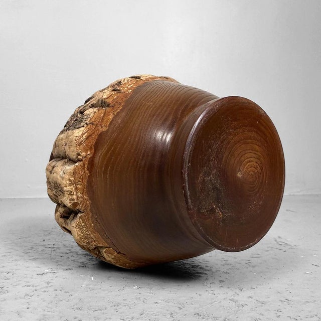 Japanese Wooden Chazutsu Tea Caddy with Natural Bark, 1960s For Sale - Image 11 of 12