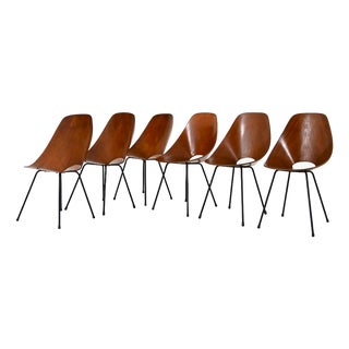 Dining Chairs by Vittorio Nobili for Frattelli Tagliabue, 1950s, Set of 6 For Sale