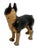 Hard 2 Find Vintage 1930s Hubley Manufacturing Co. Brown Painted Boston Terrier Cast Iron Dog Doorstop For Sale - Image 9 of 18