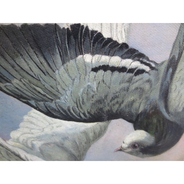 Charcoal Pigeons on Flight Painting For Sale - Image 8 of 8