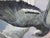 Charcoal Pigeons on Flight Painting For Sale - Image 8 of 8
