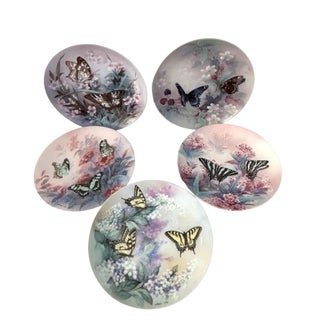 1980s Lena Liu Gossamer Wings Butterfly Plates, Set of 5 For Sale