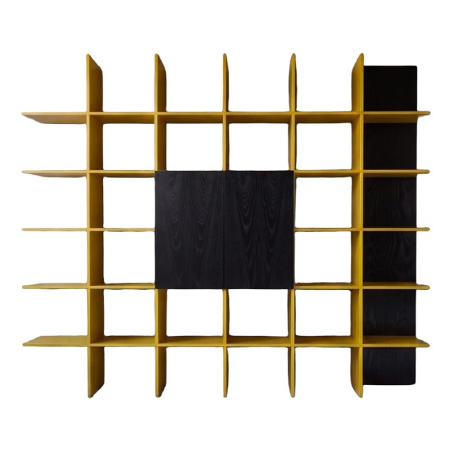 Grid Bookcase in Ash and Black Lacquer by Roberto Pamio & Renato Toso for Stilwood, 1970s For Sale