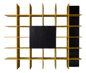 Grid Bookcase in Ash and Black Lacquer by Roberto Pamio & Renato Toso for Stilwood, 1970s