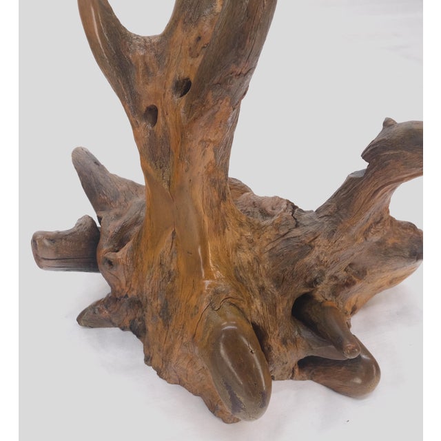 Large 25" Tall Artist Signed Driftwood Root Burl Wood Natural Sculpture For Sale - Image 6 of 12