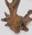 Large 25" Tall Artist Signed Driftwood Root Burl Wood Natural Sculpture For Sale - Image 6 of 12