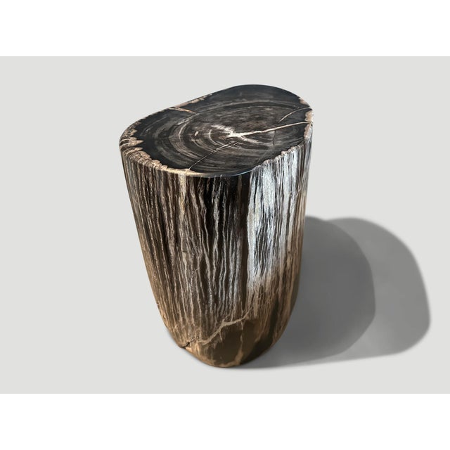 Andrianna Shamaris Ancient Petrified Wood Side Table For Sale In New York - Image 6 of 6