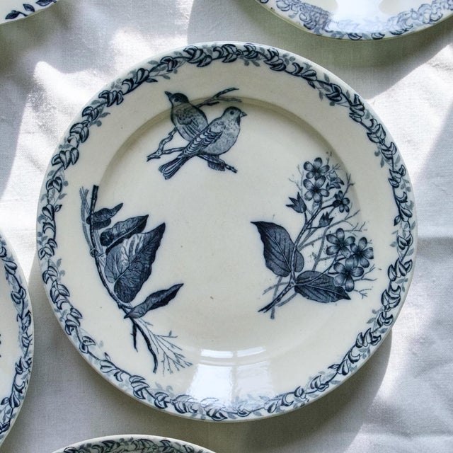 French Plates with Birds by Onnaing, 1875, Set of 6 For Sale - Image 9 of 12