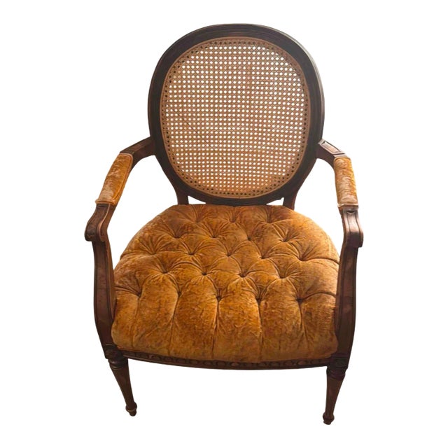 Late 19th Century Louis XVI Style Bergere Chair For Sale