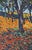 Maurice de Vlaminck, The Chestnut Grove at Chatou, 1906, Lithograph For Sale - Image 5 of 7