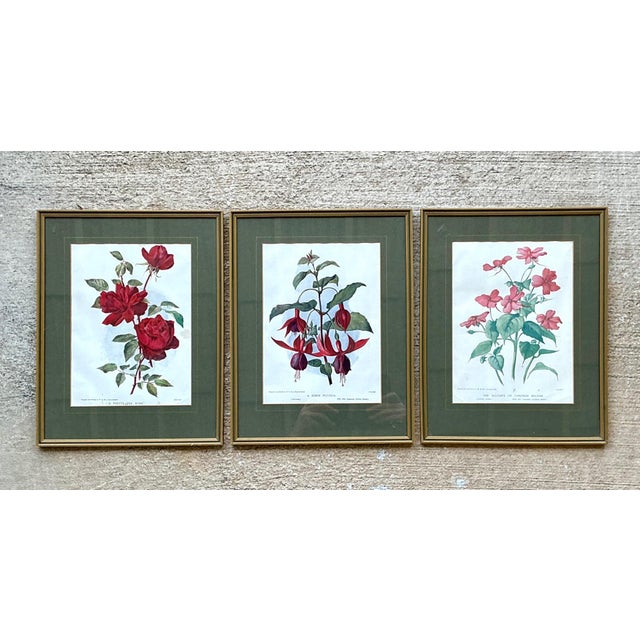 Vintage Botanical Floral Prints in Gilt Frames - Set of 3 For Sale In West Palm - Image 6 of 16