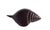 Vintage Hand Carved Ironwood Conch Shell For Sale - Image 15 of 17