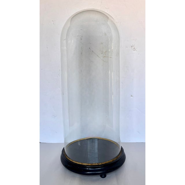 Early 20th Century Early 1900s French Hand Blown Glass Cloche on Wood Footed Base For Sale - Image 5 of 12