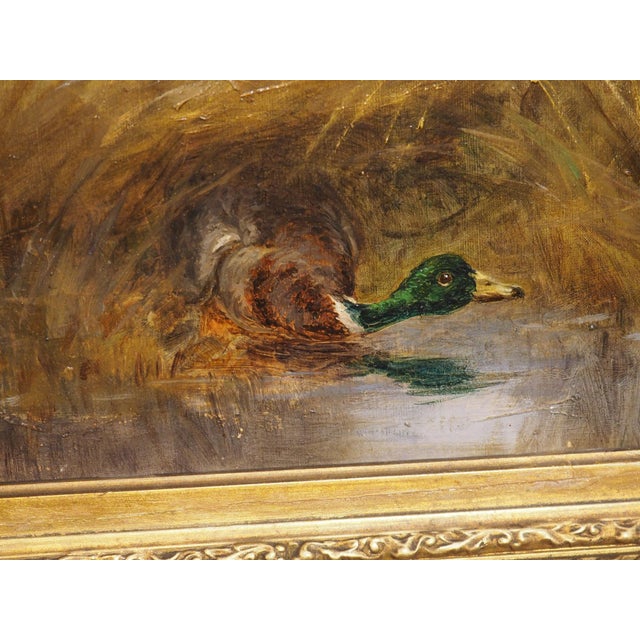 Antique French Hunt Painting of Setters and a Mallard, Oil on Canvas, 1904 For Sale - Image 10 of 18