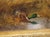 Antique French Hunt Painting of Setters and a Mallard, Oil on Canvas, 1904 For Sale - Image 10 of 18