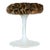 Mid-Century Tulip Stool With Leopard Print Seat For Sale