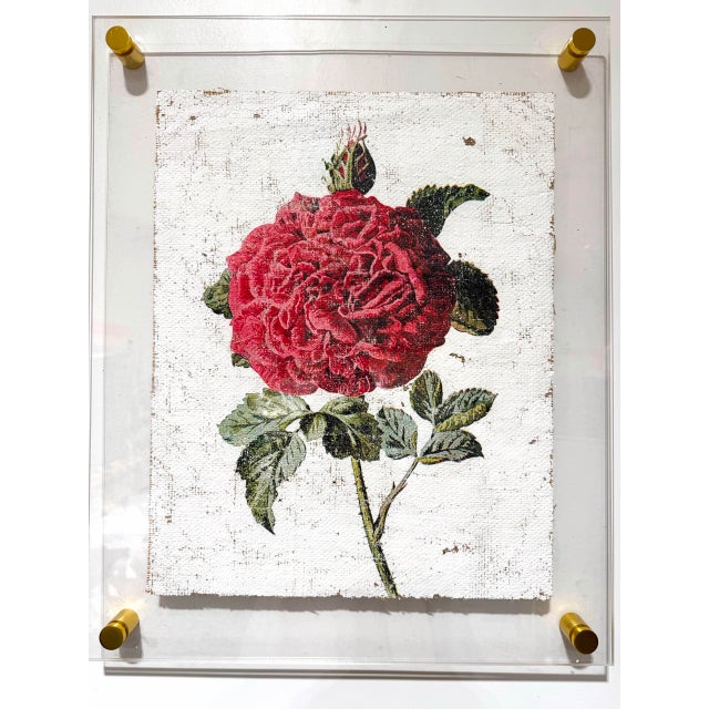 Contemporary Red Garden Rose - Hand Textured Vintage Rose For Sale - Image 3 of 6