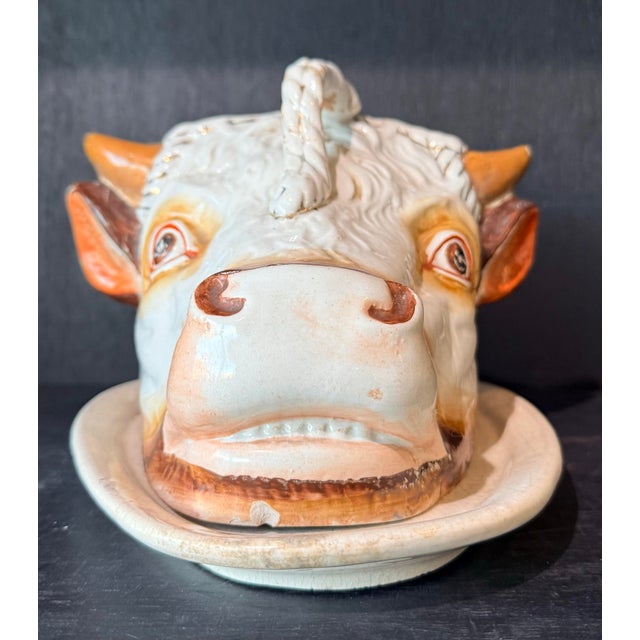 Antique Staffordshire Bull Cheese Dish Keeper For Sale In Tulsa - Image 6 of 11