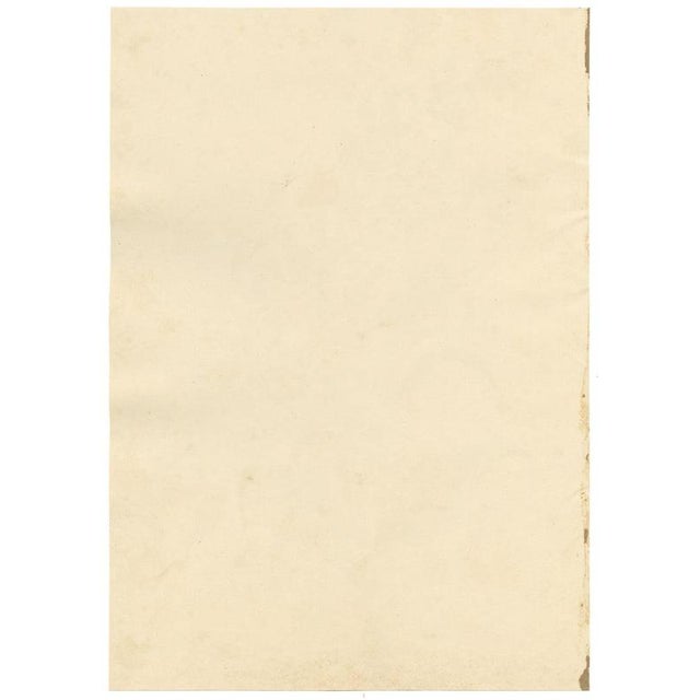 E.B.R., Cardinal (Lobelia Cardinalis) & Tuberose Flower, 1800s, Paper For Sale - Image 6 of 7