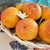 Mid 20th Century Casa Pupo Spanish Ceramic Basket of Oranges For Sale - Image 4 of 12