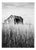 Paul Cooklin, Weathered House, Walberswick, Southwold, Suffolk, 2008, Edition of 50 For Sale