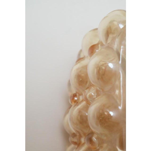 Golden Bubble Wall Light with Glass by Helena Tynell for Glashütte Limburg, 1960s For Sale - Image 16 of 17