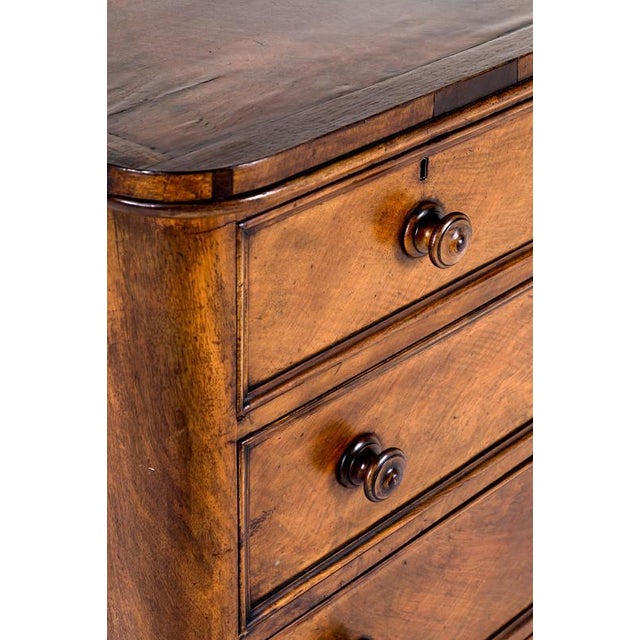 English Mahogany Chest of Drawers For Sale - Image 6 of 14