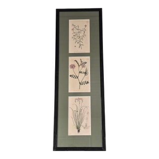 Framed Botanical Print Trio Wall Art Pink Floral Engraving Style Panels Vintage Inspired For Sale