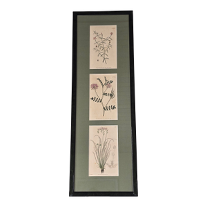 Framed Botanical Print Trio Wall Art Pink Floral Engraving Style Panels Vintage Inspired