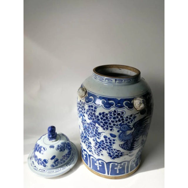 Ceramic Blue and White Phoenix Porcelain Ginger Jar For Sale - Image 7 of 9
