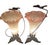 Vintage Lily Lamps on Cast Iron Base - A Pair For Sale - Image 9 of 10