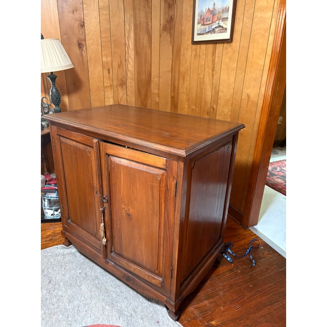 19th-Century Centennial American Primitive Pegged Pie Safe / Bread Cabinet For Sale - Image 4 of 8