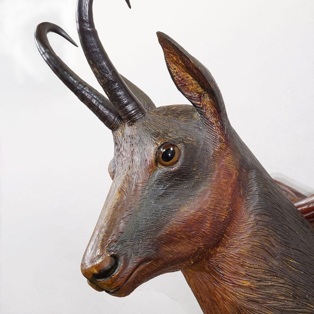 1920s Large Naturalistic Black Forest Carved Chamois Head, Ca. 1920s For Sale - Image 5 of 8