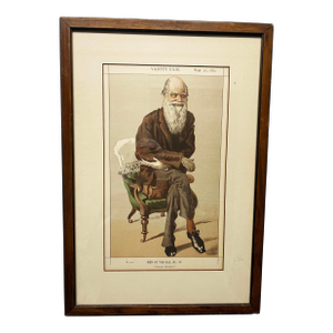 Antique "Vanity Fair"- “Charles Darwin, 1871.illustration, Framed