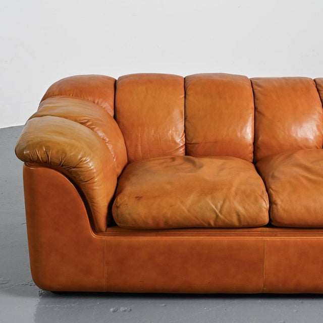 Cocker Leather Sofa by Franco Bresciani for Poltrona Frau, 1970s For Sale - Image 6 of 16