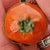 The Tomato Box is beautifully painted and is in excellent condition. It measures approximately 1 3/5" H x 1 3/8" x 1 3/8"....