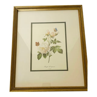1960s P.F.Redoute Vintage Chromolithograph of Roses in Gold Frame For Sale