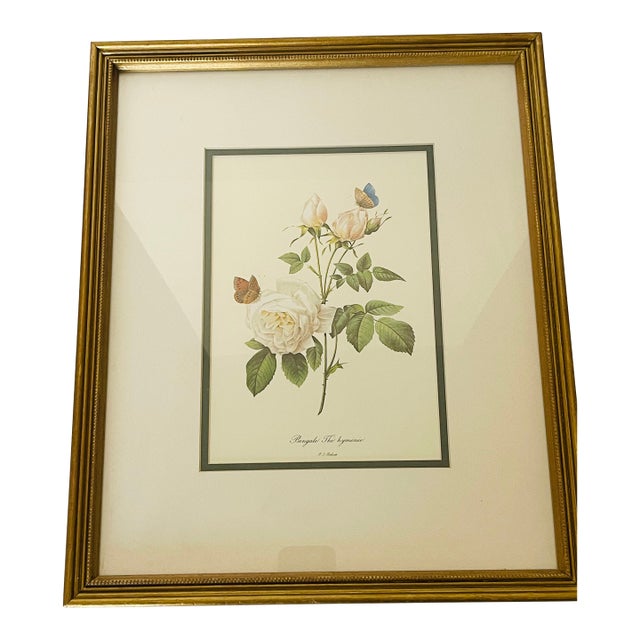 1960s P.F.Redoute Vintage Chromolithograph of Roses in Gold Frame For Sale