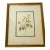 1960s P.F.Redoute Vintage Chromolithograph of Roses in Gold Frame For Sale