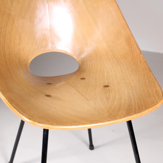 Vintage Medea Chairs by Vittorio Nobili for Fratelli Tagliabue, Set of 3 For Sale - Image 9 of 12