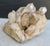 Contemporary Natural Specimen Cluster of Rock Quartz Crystals For Sale - Image 3 of 10